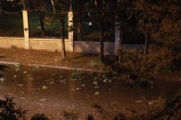 Eskişehir'de Şiddetli Rüzgar Ağaç Dallarını Kırdı
