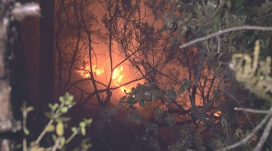 Aydos Ormanı'nda Havai Fişek Nedeniyle Yangın Çıktı