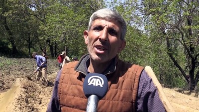 Çamurdan Oluşturdukları Havuzlarda Doğal Yöntemlerle Çeltik Üretiyorlar