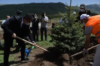 Erzurum'da Sağlık Çalışanları Hatıra Ormanı Oluşturuldu Haberi