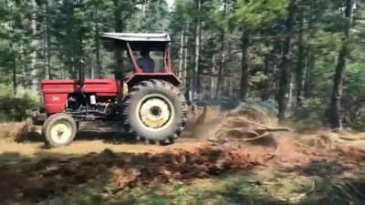GÜNCELLEME - Uşak'taki Orman Yangını Kontrol Altına Alındı