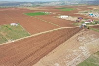 Sivas'ta Mor Patates'in Ekimi Yapıldı Haberi