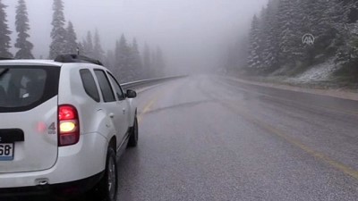 Ilgaz Dağı'nda Sis Ulaşımı Olumsuz Etkiliyor