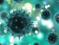 ANTİBAKTERİYEL - Koronavirüse karşı yeni silah!
