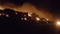 Antalya'da Orman Yangını Haberi