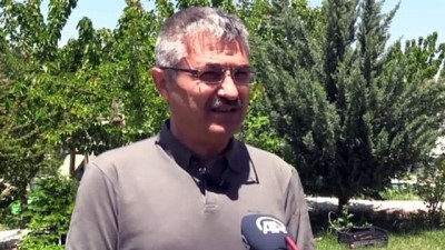 Bozkırın Ortasındaki 'Yeşil Cennet' Açıklaması Sultan Sazlığı