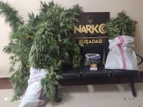 Kuşadası'nda Lüks Villayı Uyuşturucu İmalathanesine Çevirmişler