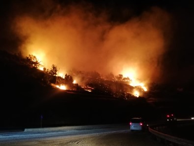 Mersin'de Orman Yangını Açıklaması 3 Hektar Kızılçam Ormanı Zarar Gördü