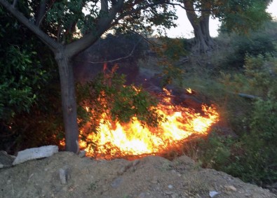 Ortaca'da Orman Yangını