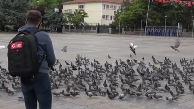 Polis Ve Basın Güvercinleri Besledi