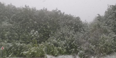 Yaralıgöz Dağı'nda Mayıs Ayında Kar Sürprizi