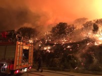 Antalya'nın Kaş İlçesindeki Orman Yangını Kontrol Altına Alındı