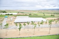 Beypazarı'nda Meyve Yetiştiriciliğinin Önünü Açacak Dev Projede Büyük Başarı