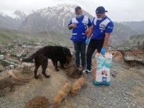 Can Dostlara Mama Bırakıldı