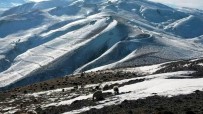 Doğu Anadolu'da Kar Yağışı Haberi