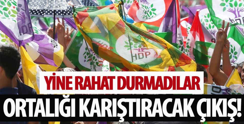 HDP'den ortalığı karıştıracak çıkış!