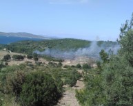 İzmir'deki Yangınlar Kontrol Altında Haberi