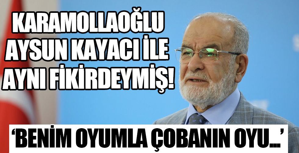 Karamollaoğlu'ndan demokrasi yorumu