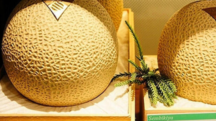 O kavunlar bu yıl 1100 dolara alıcı buldu!