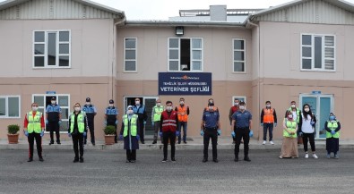 Sultanbeyli'de 50 Noktada Sokak Hayvanlarının İhtiyaçları Karşılanıyor