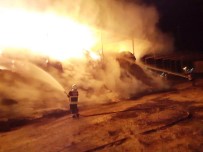 Aydın'daki Çiftlikte Samanlar Alev Aldı