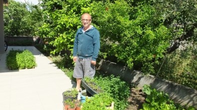 Burhaniyeli Vatandaş Bahçesinde Ürettiği Sebze Fidelerini Komşularına Dağıtyor