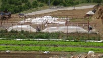 Malatya'da Hortum Bahçe Ve Seralara Zarar Verdi Haberi