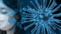 DOMUZ GRIBI - Bilim insanları ilk kez açıkladı! O yöntem koronavirüsten koruyor!