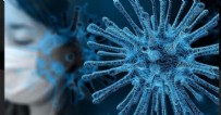 Bilim insanlarından yeni araştırma! Koronavirüs hakkında bildiklerinizi unutun!