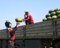 Karpuzda İthalatı Bitirecek Karar