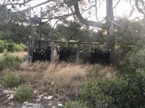 Mersin'den Çalınan Keçiler Karaman'da Mezbahanede Kesilmiş Halde Bulundu