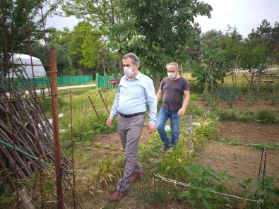 Orman Okulu Ve Z Kütüphane Projesi Hayata Geçirildi