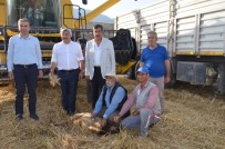Buğday Hasadı Kurban Kesilerek Başladı