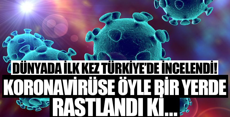 Dünyada ilk kez Türkiye'de incelendi! Koronavirüse öyle bir yerde rastlandı ki...