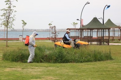 Van Gölü Sahilleri Cuma Namazına Hazır