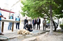 Beypazarı'nda Camiler Cuma Namazıyla Birlikte İbadete Açıldı