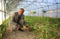 Uzundere'de Organik Sebze Ve Meyve Üretimi Haberi