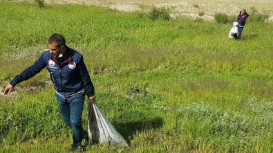 Van'da Kaçak Avlanmış 2 Ton Balığa El Konuldu