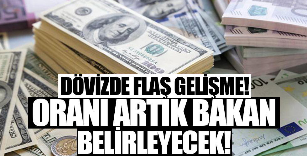 Yürürlüğe girdi! Döviz kullanım oranını bakanlık belirleyecek