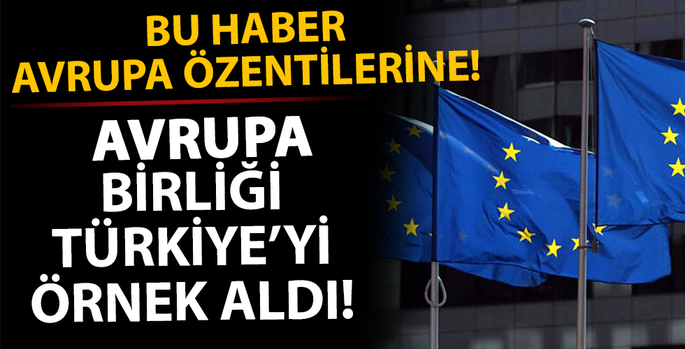 Avrupa Türkiye'yi örnek alıyor!