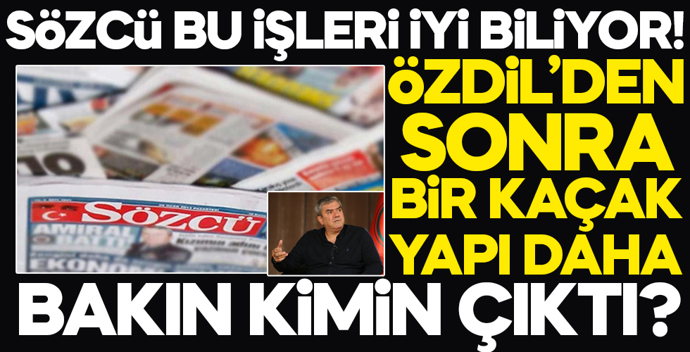 Yılmaz Özdil'den sonra bir kaçak yapı skandalı daha!