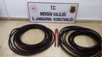 Jandarma Ekipleri, Hırsızları Yakaladı