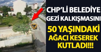 Bolu’da Gezi’nin yıldönümünde rezalet! Ağaç keserek kutladılar