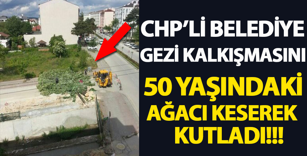 Bolu’da Gezi’nin yıldönümünde rezalet! Ağaç keserek kutladılar