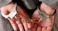 Kuşadası'nda Jandarmadan Kaçak Kazıya Şafak Operasyonu; 9 Kişi Gözaltına Alındı