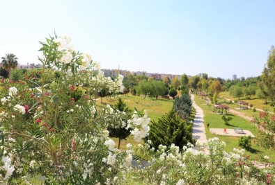 Toroslar'daki Parklar Çiçek Açtı