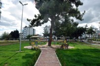 Varsak'a Çam Ağaçlı Park