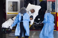 En Fazla Vaka Sayısı Hala Avrupa'da