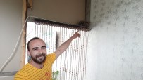 Korona Tedbirinde Kapatılan Berber Dükkanına Kuşlar Yuva Yaptı Haberi