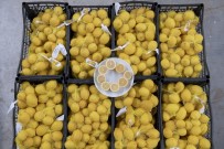Mersin'in Limonları Bu Kez Başkent İçin Yola Çıktı
